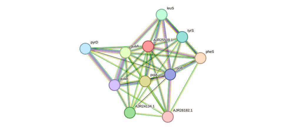 STRING protein interaction network