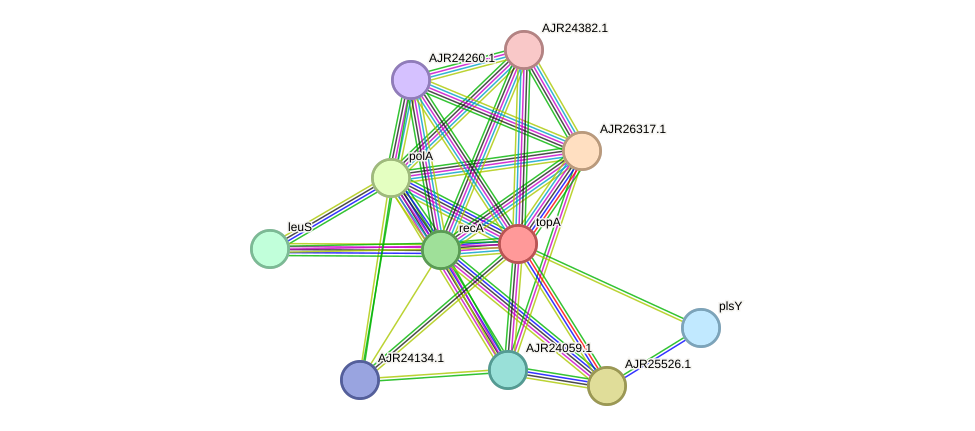 STRING protein interaction network