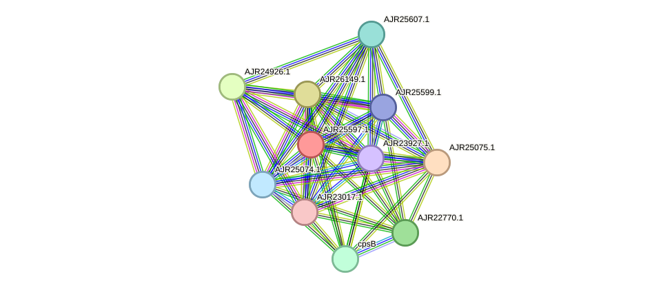 STRING protein interaction network