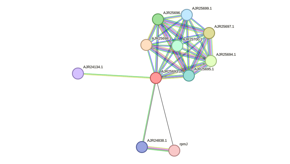 STRING protein interaction network