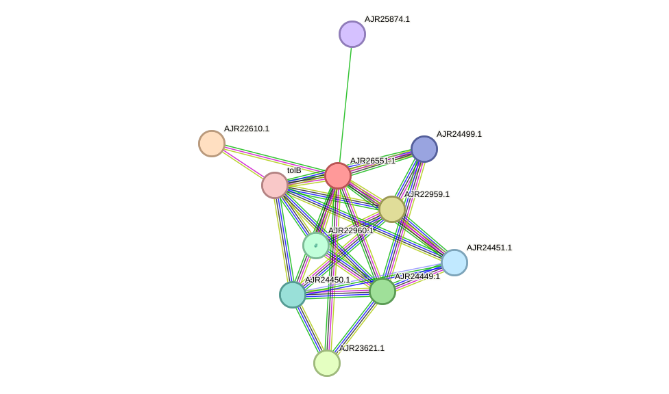 STRING protein interaction network