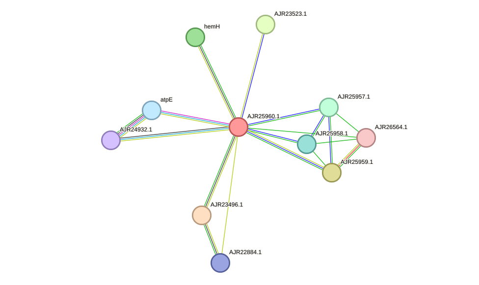 STRING protein interaction network