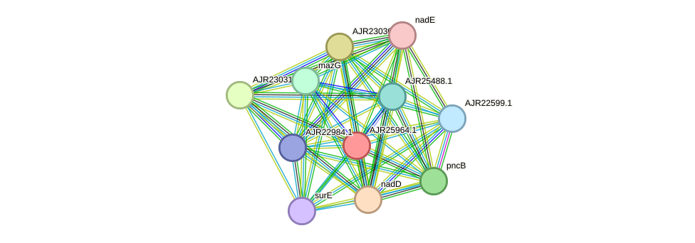 STRING protein interaction network