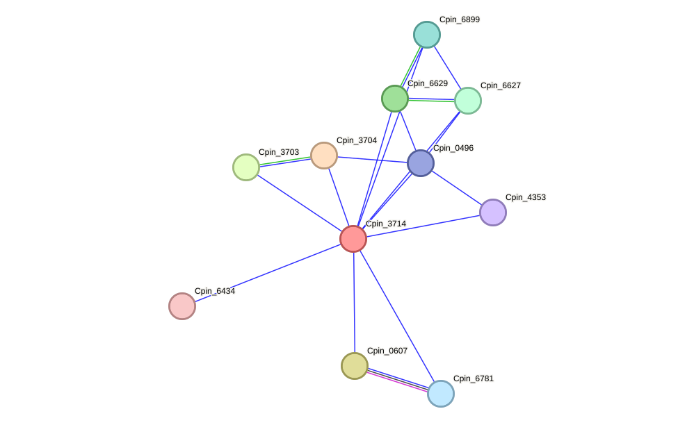 STRING protein interaction network