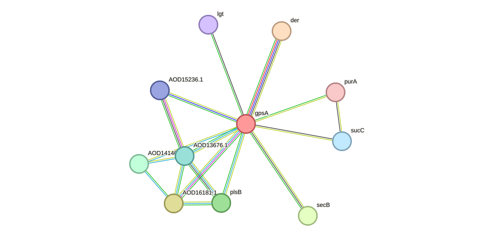 STRING protein interaction network