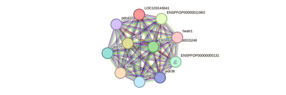 STRING protein interaction network