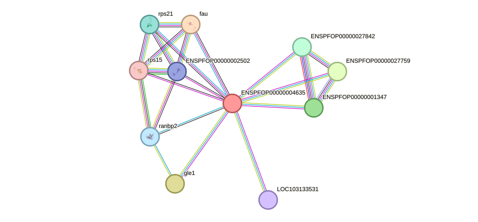 STRING protein interaction network