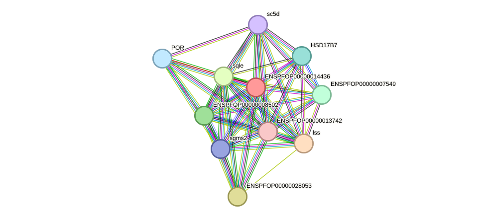 STRING protein interaction network