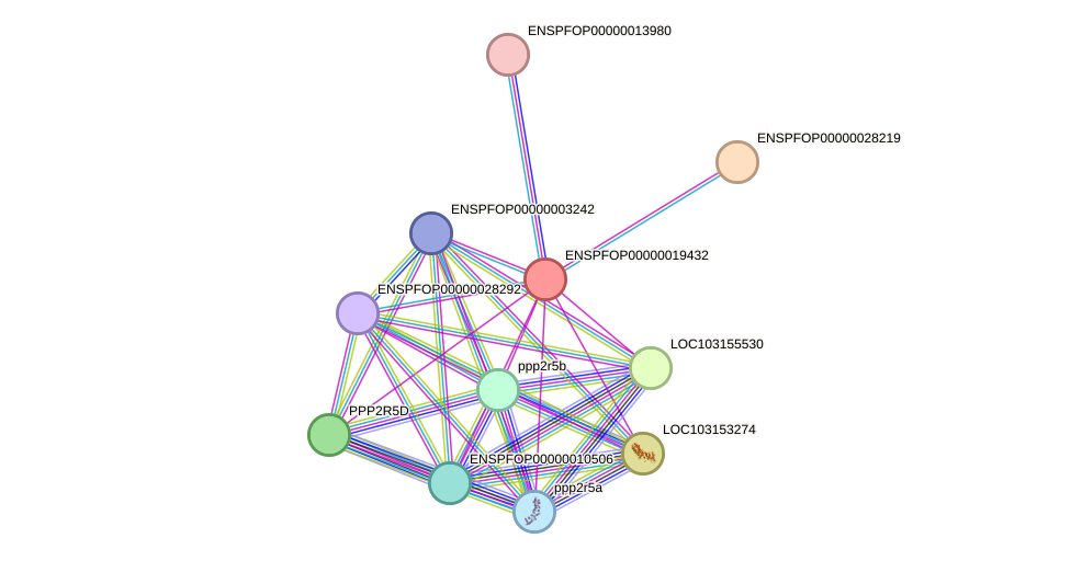 STRING protein interaction network