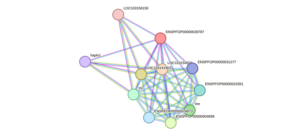 STRING protein interaction network