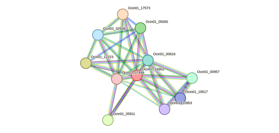 STRING protein interaction network