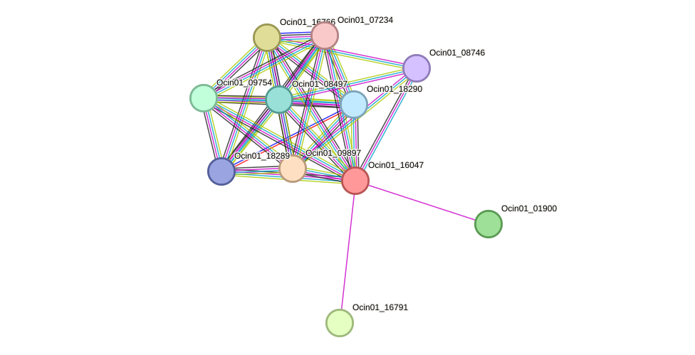 STRING protein interaction network