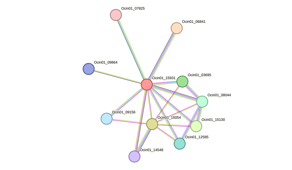 STRING protein interaction network