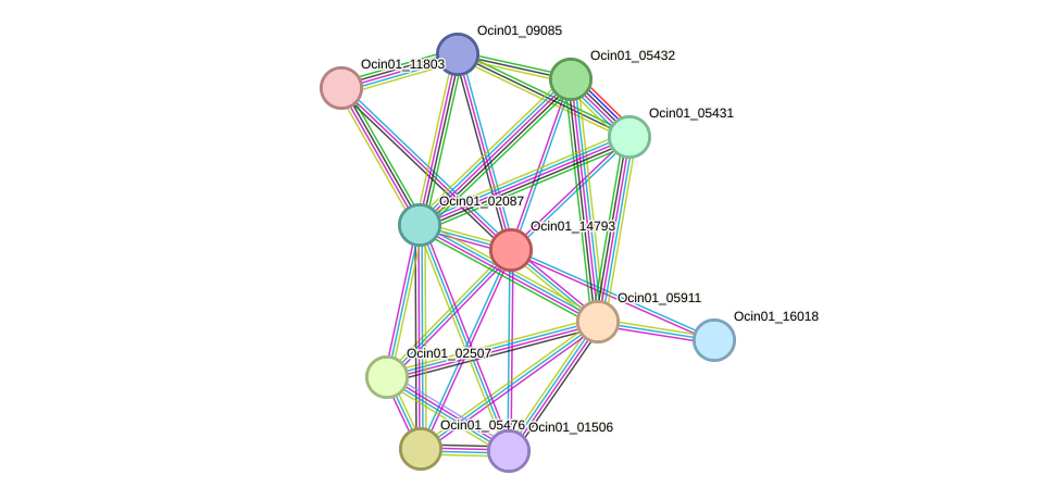 STRING protein interaction network