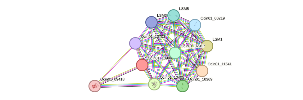 STRING protein interaction network