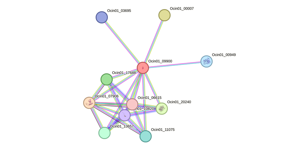 STRING protein interaction network