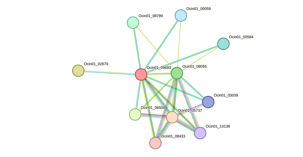 STRING protein interaction network