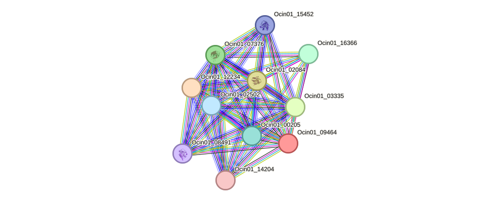 STRING protein interaction network