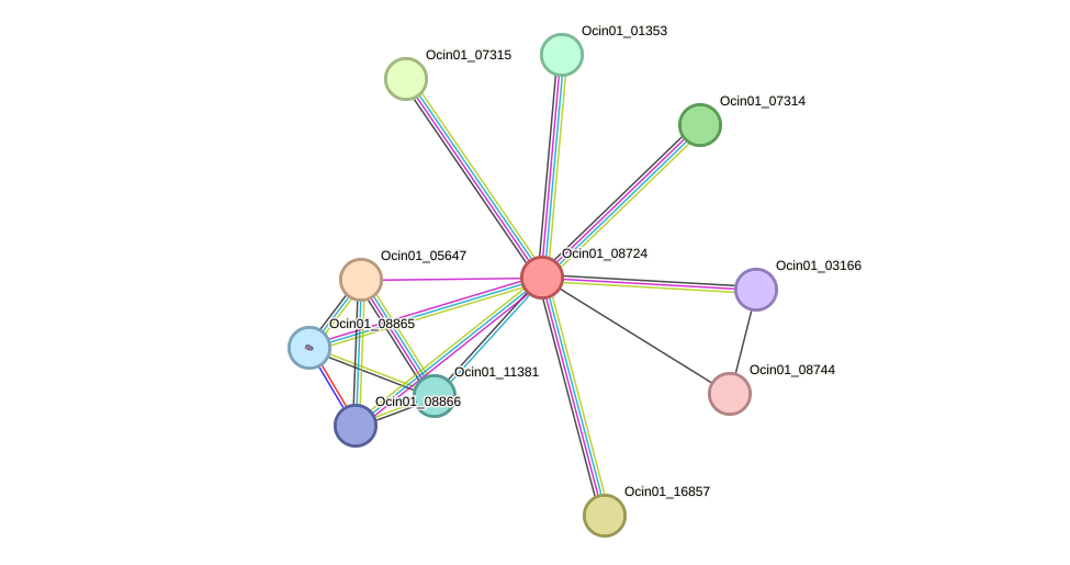 STRING protein interaction network