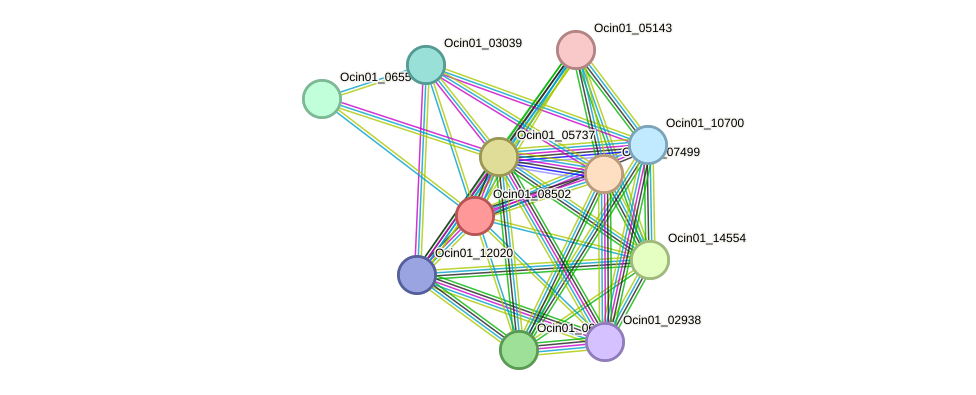 STRING protein interaction network