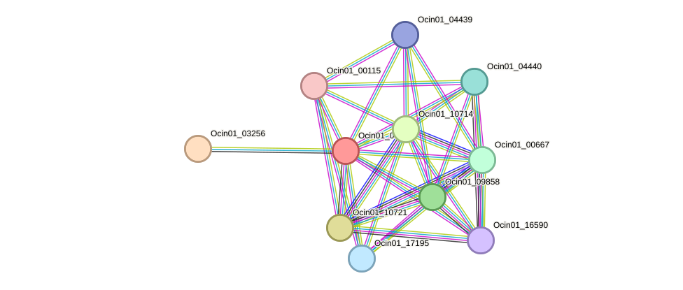 STRING protein interaction network