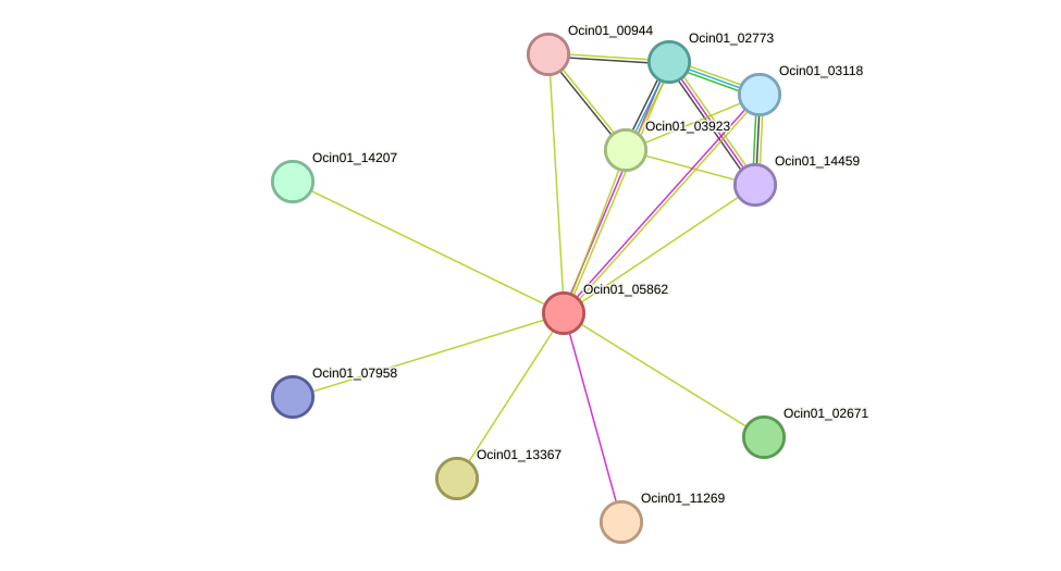 STRING protein interaction network