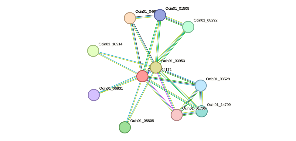 STRING protein interaction network