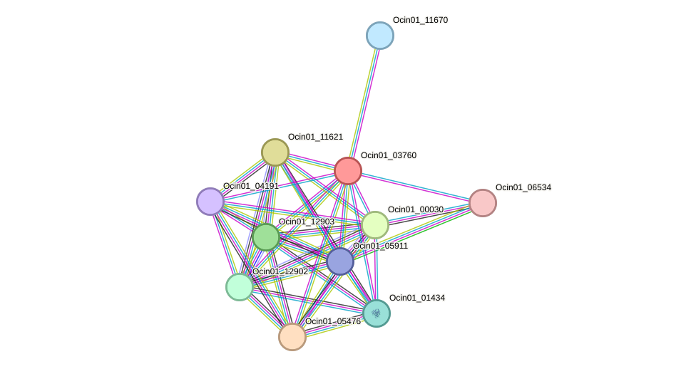 STRING protein interaction network