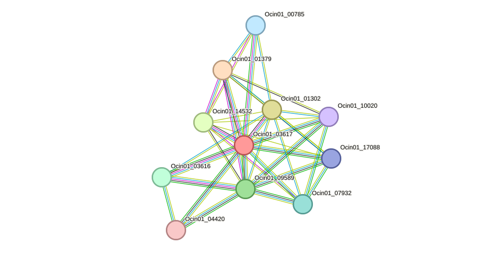 STRING protein interaction network