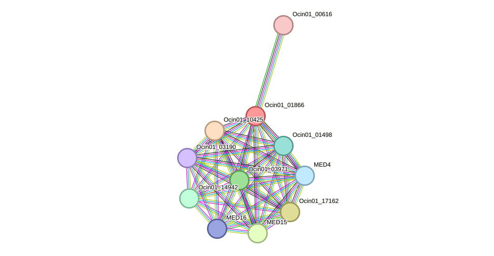 STRING protein interaction network