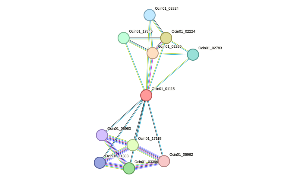 STRING protein interaction network