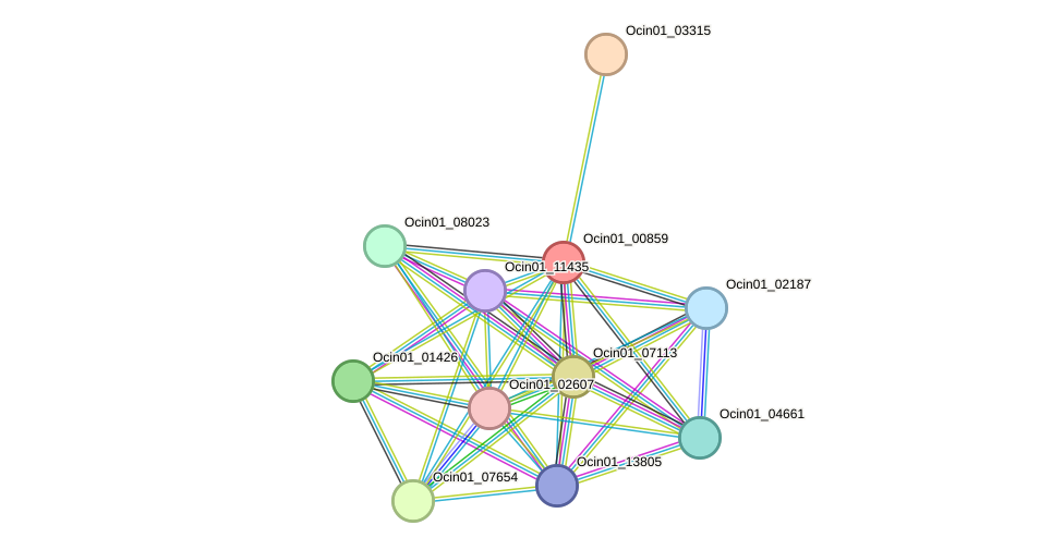 STRING protein interaction network