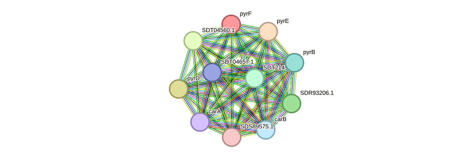 STRING protein interaction network