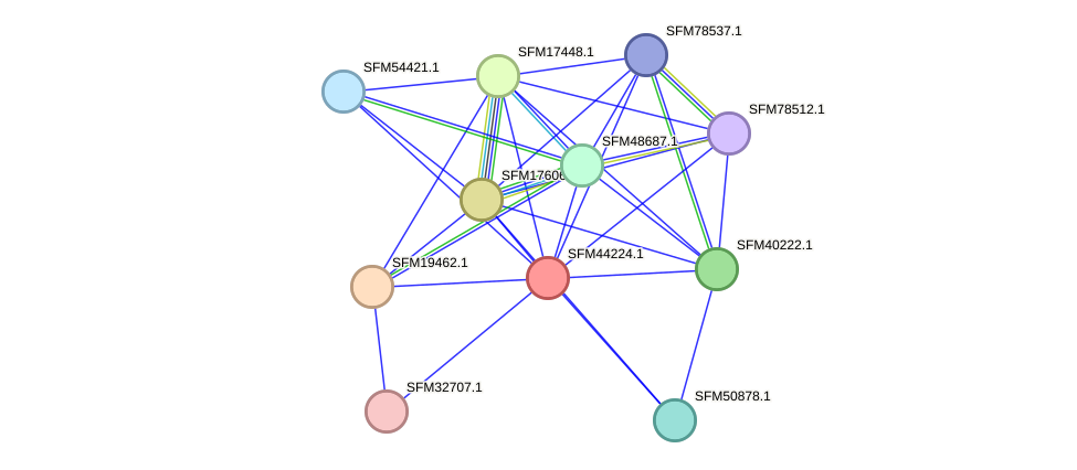 STRING protein interaction network