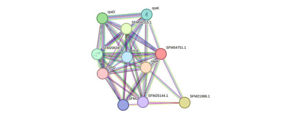 STRING protein interaction network