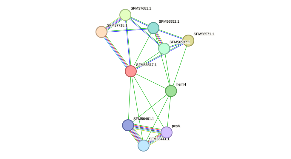 STRING protein interaction network