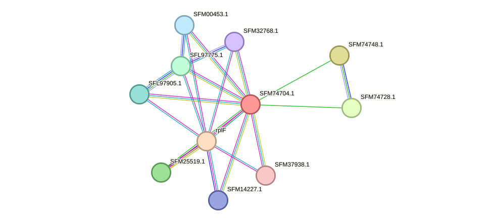 STRING protein interaction network