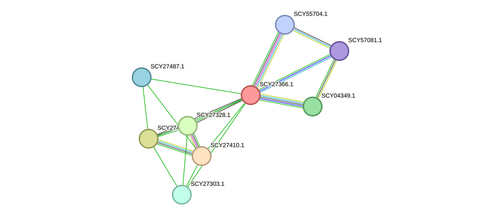 STRING protein interaction network