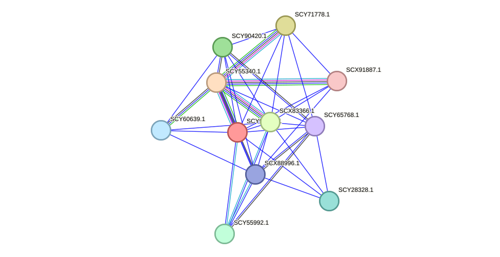 STRING protein interaction network