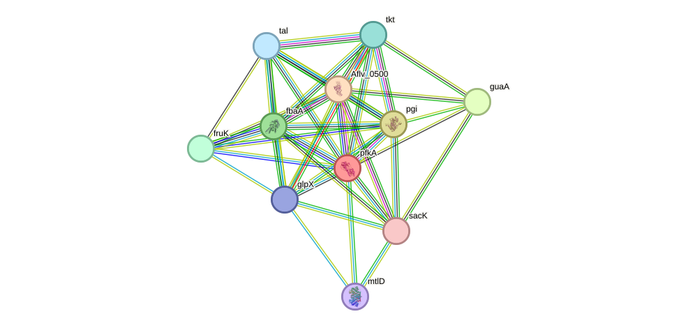 STRING protein interaction network