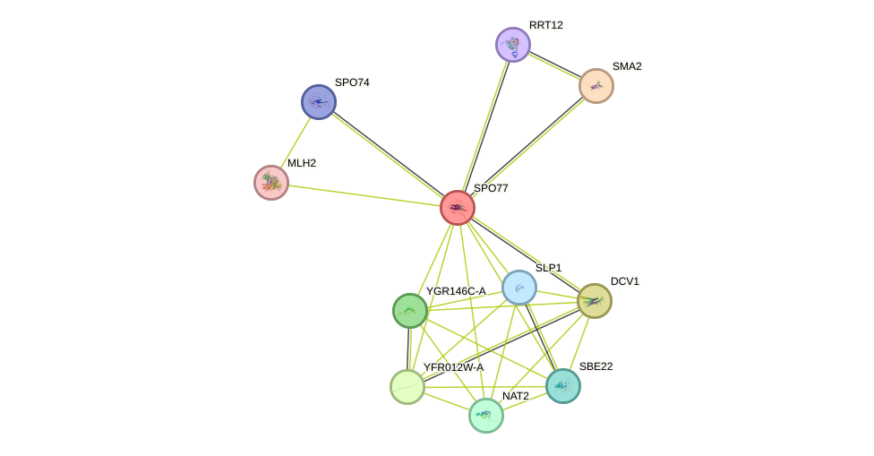 STRING protein interaction network