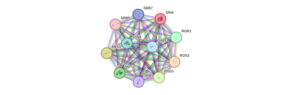 STRING protein interaction network