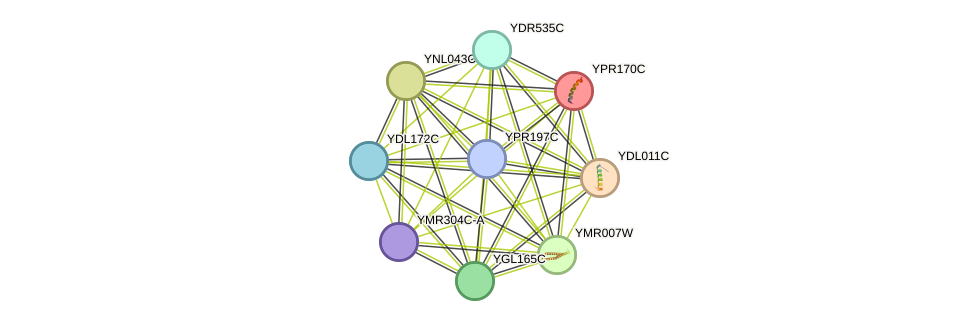 STRING protein interaction network