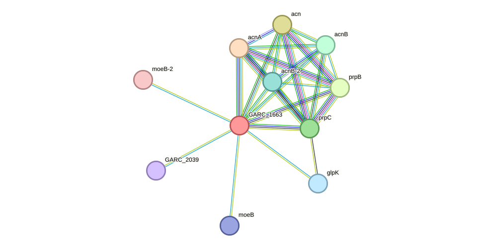STRING protein interaction network