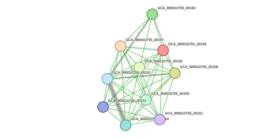 STRING protein interaction network