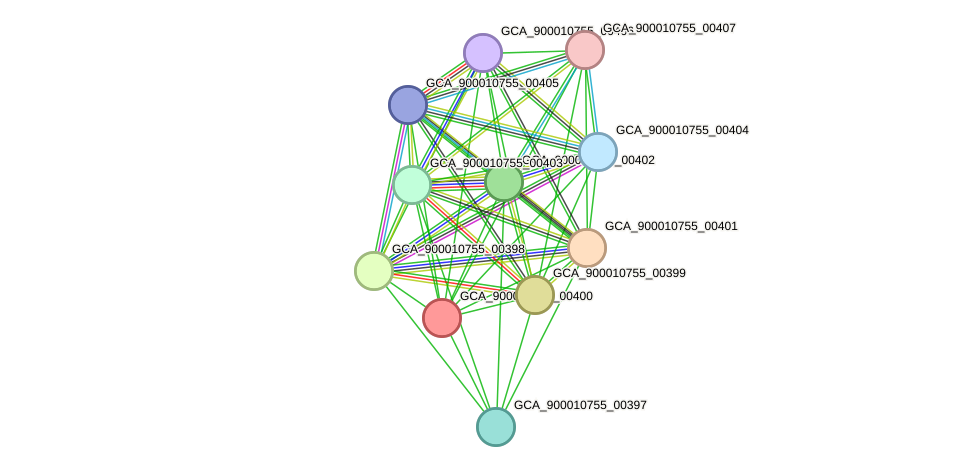 STRING protein interaction network