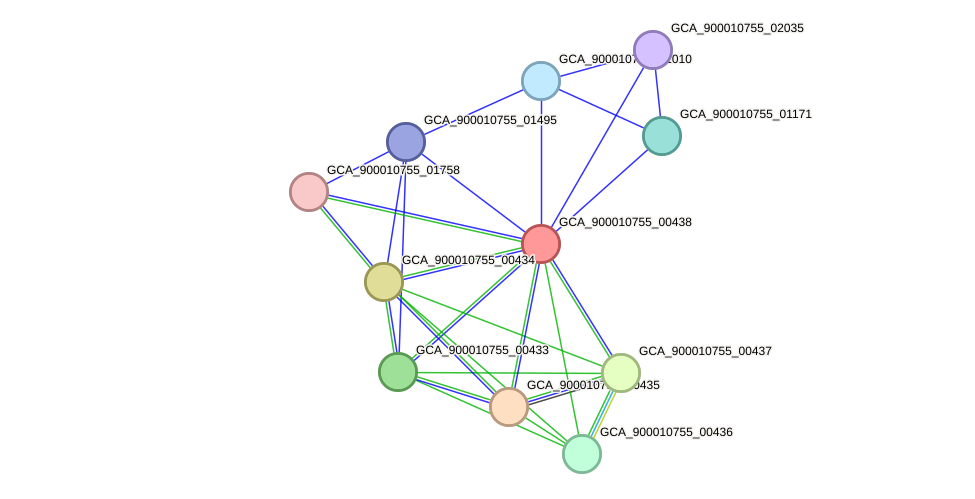 STRING protein interaction network