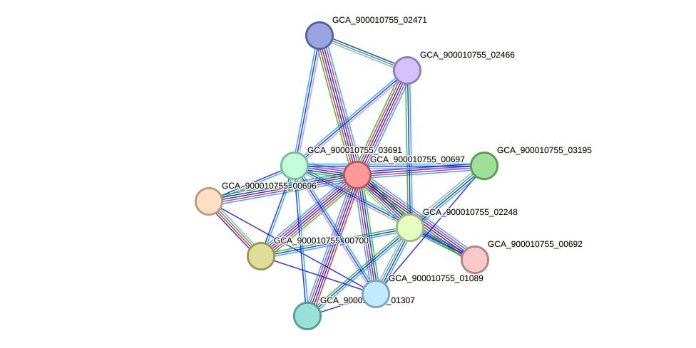 STRING protein interaction network