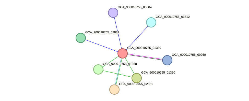 STRING protein interaction network