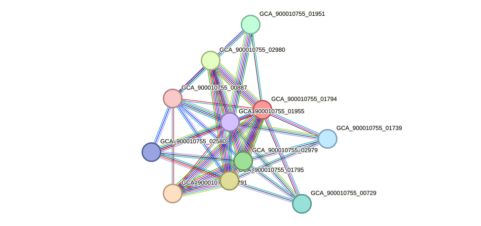 STRING protein interaction network